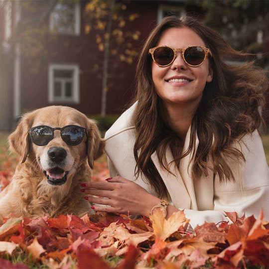 Wynn Curly Birch Wooden Sunglasses | Durable Craftsmanship